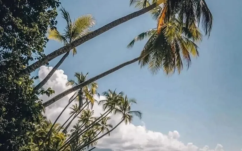 Small hotel with a pool in Uvita Costa Rica, a base for snorkeling uvita trips to Caño Island