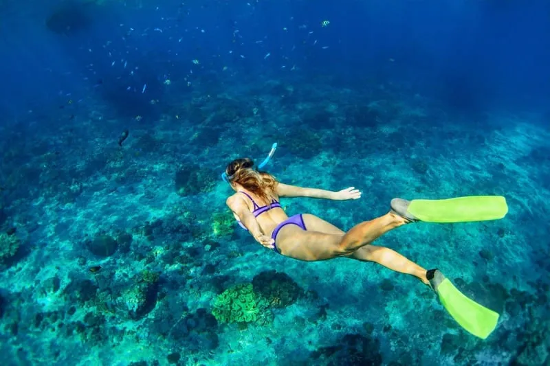Small group snorkeling in Manuel Antonio Bay with whale watching and water trampolines on an affordable Costa Rica ocean tour near Uvita