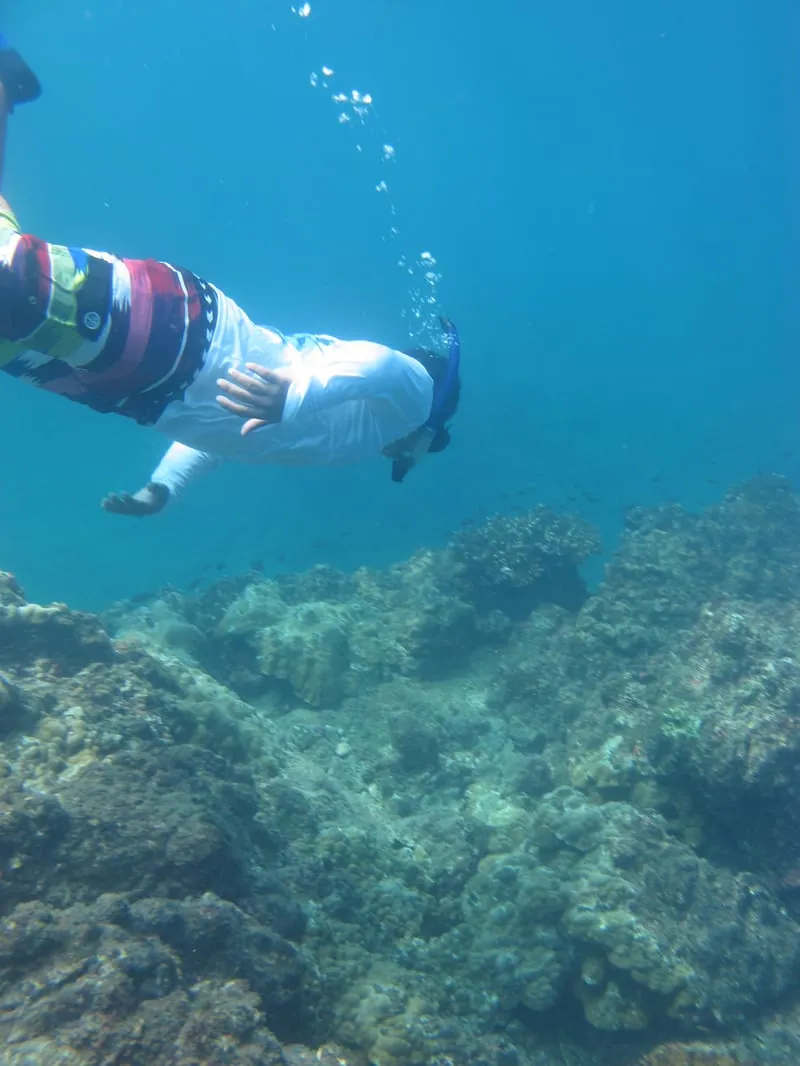 Snorkelers at Caño Island reef on a 6-hour snorkeling uvita Costa Rica tour with fresh local lunch included from Playa Uvita